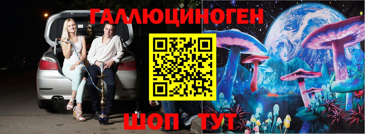 Гусев  где продают   Вход с VPN  Галлюциногенные грибы MAGIC MUSHROOMS 