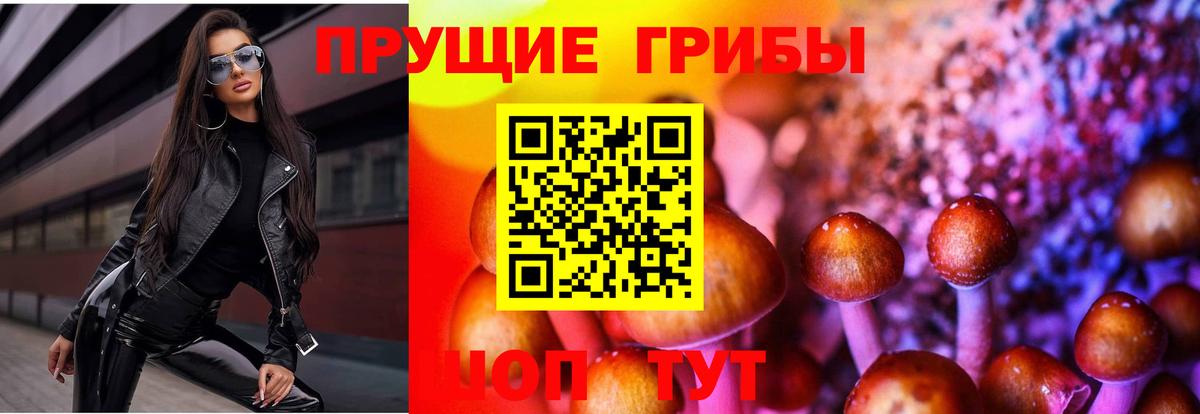 Галлюциногенные грибы ЛСД Гусев